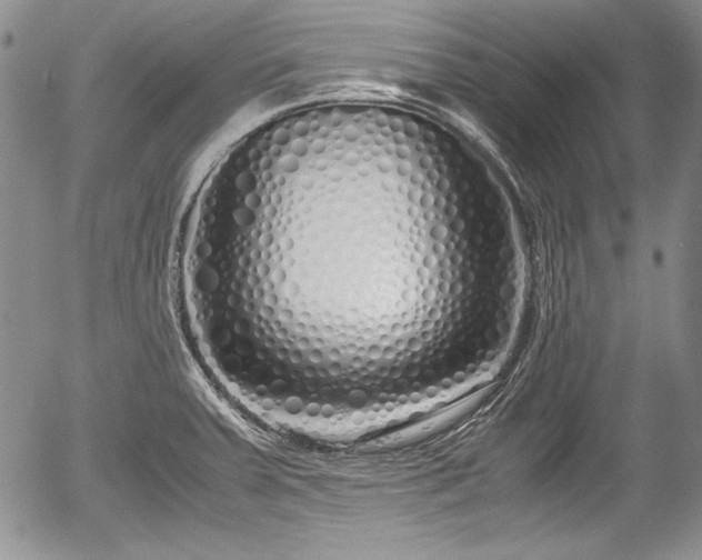 X0000054371379200508011209