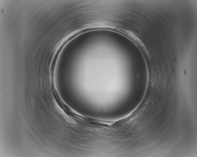 X0000054371380200508011209