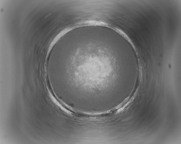 X0000054371381200508011209