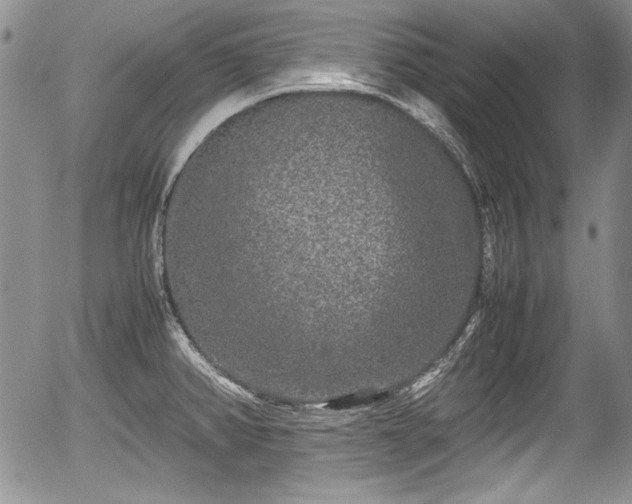 X0000054371382200508011209