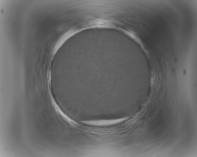 X0000054371383200508011209