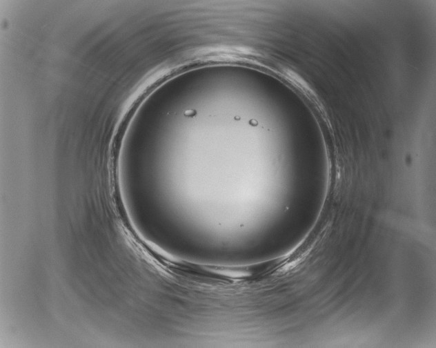 X0000054371384200508011209