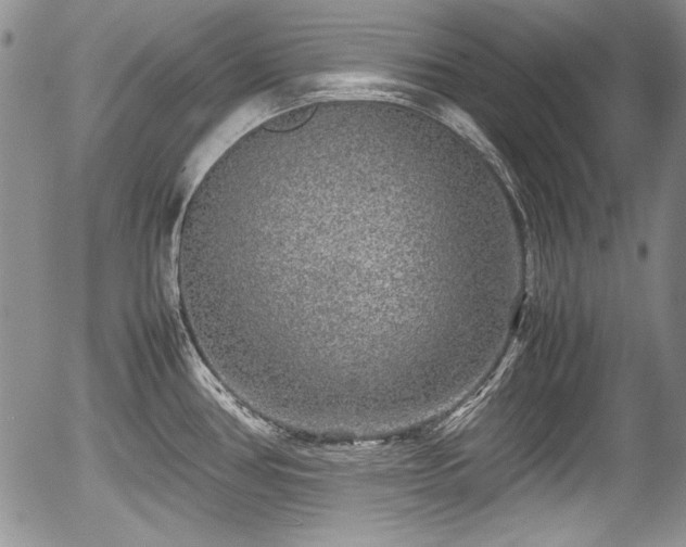 X0000054371386200508011209