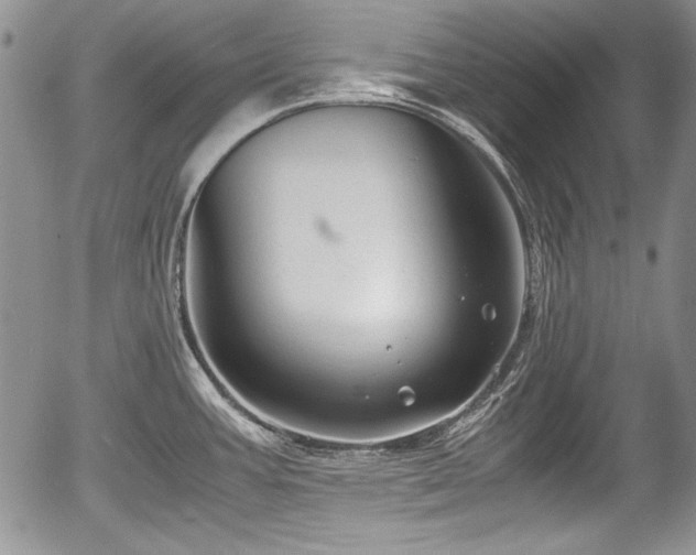 X0000054371387200508011209