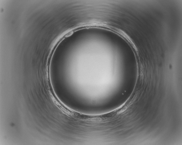 X0000054371388200508011209