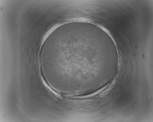 X0000054371389200508011209