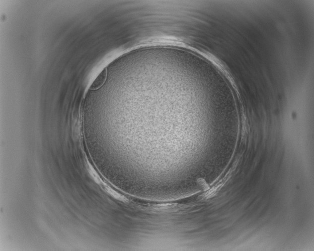 X0000054371390200508011209