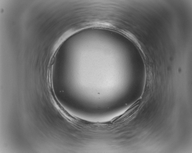 X0000054371391200508011209