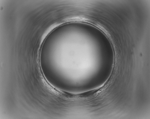 X0000054371392200508011209