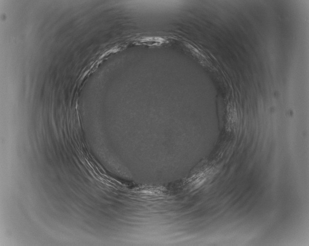 X0000054371394200508011208