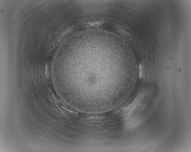 X0000054371395200508011208