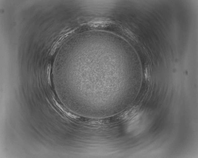 X0000054371396200508011208