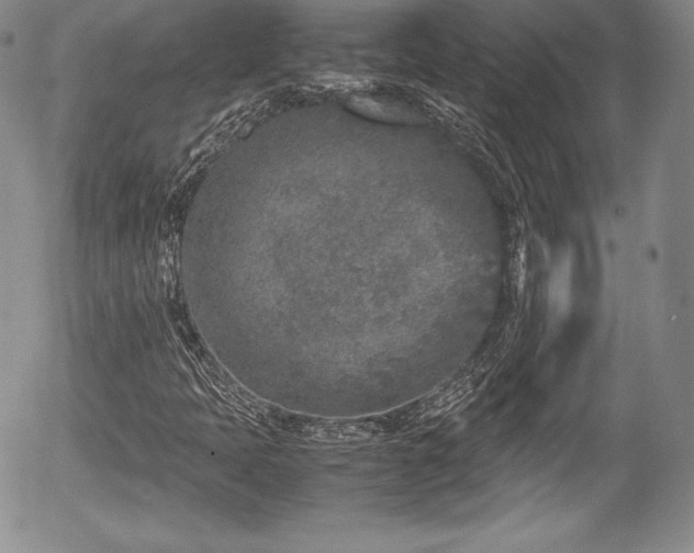 X0000054371397200508011208