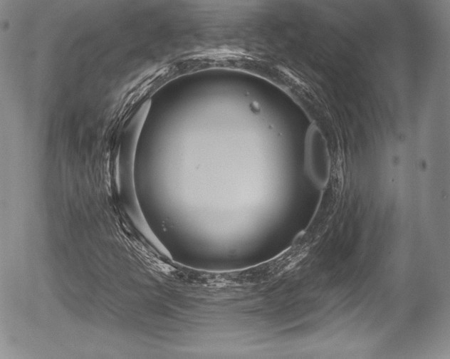 X0000054371398200508011208