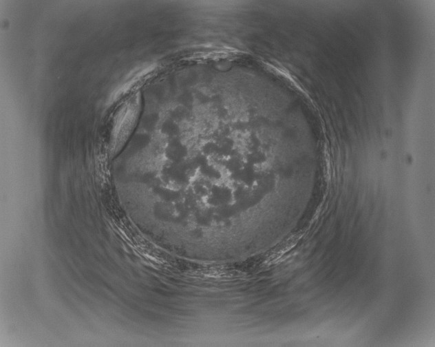 X0000054371399200508011208