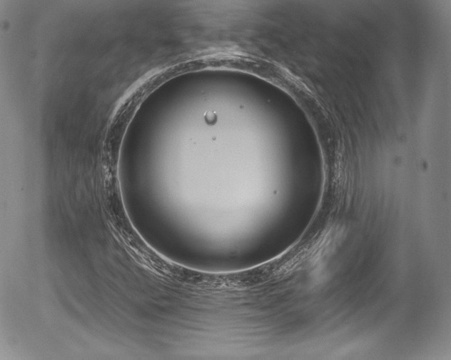 X0000054371400200508011208