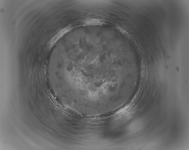 X0000054371401200508011208