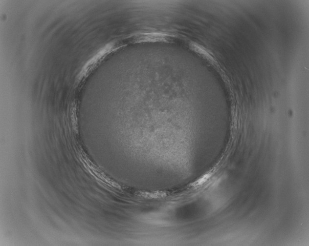 X0000054371403200508011208