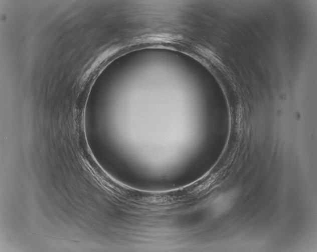 X0000054371404200508011208