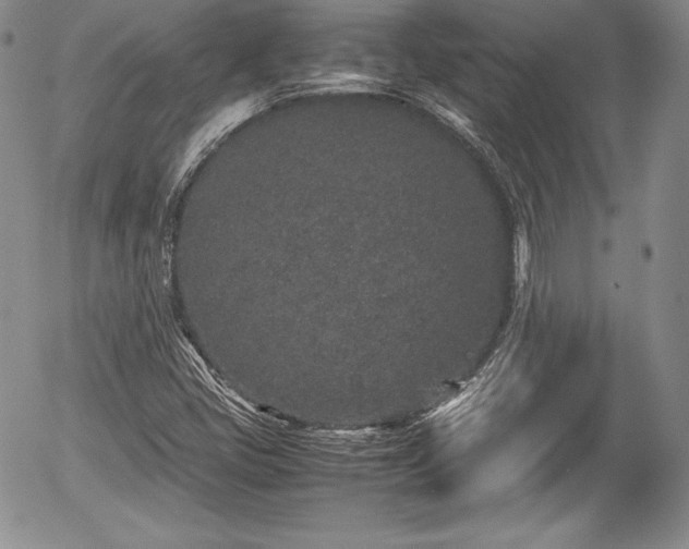 X0000054371405200508011208