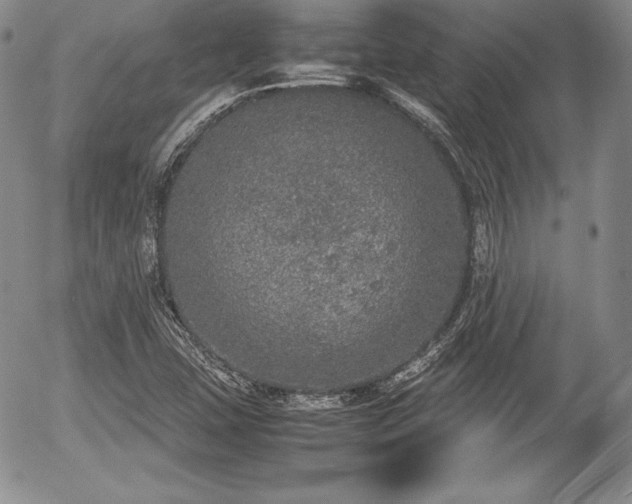 X0000054371407200508011208