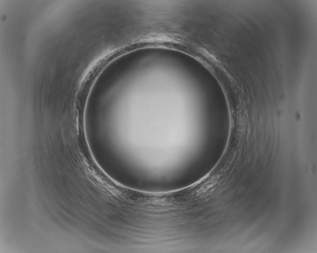 X0000054371408200508011208