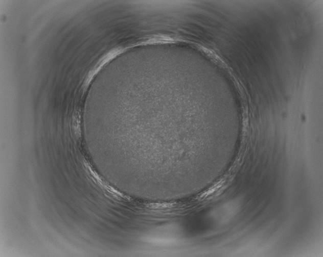 X0000054371409200508011208