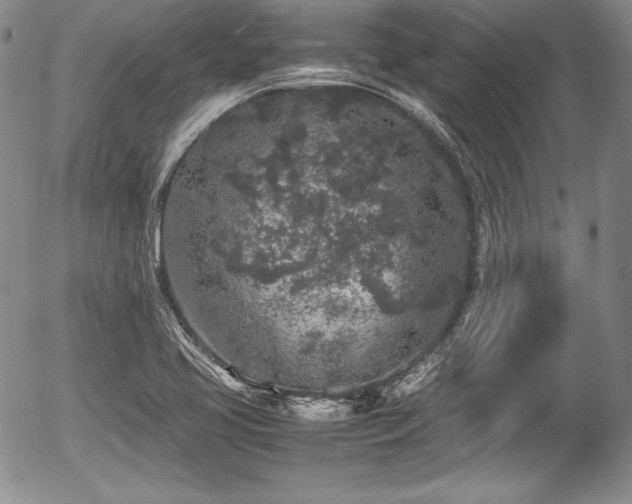 X0000054371413200508011208