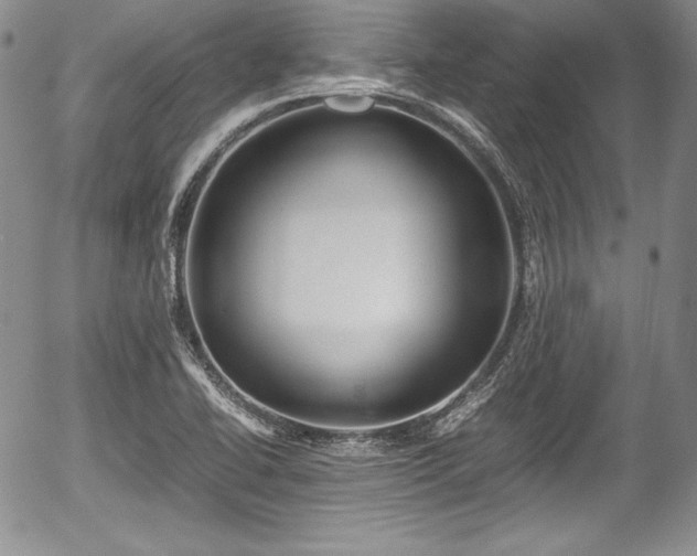 X0000054371414200508011208