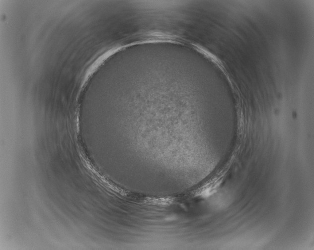 X0000054371415200508011208