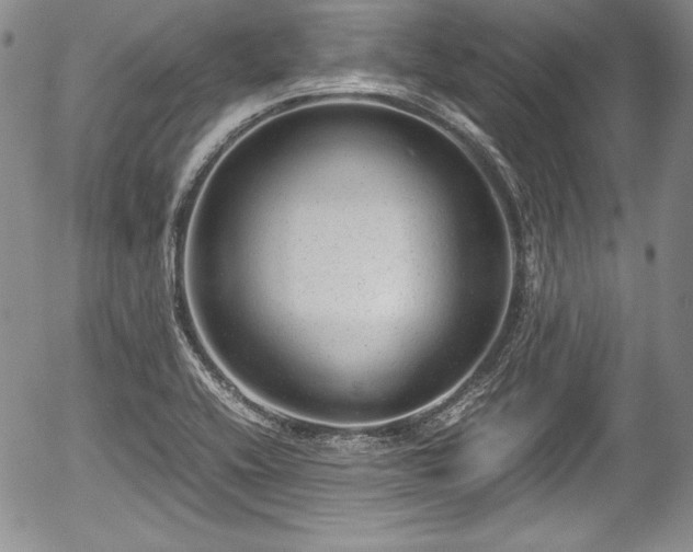 X0000054371416200508011208