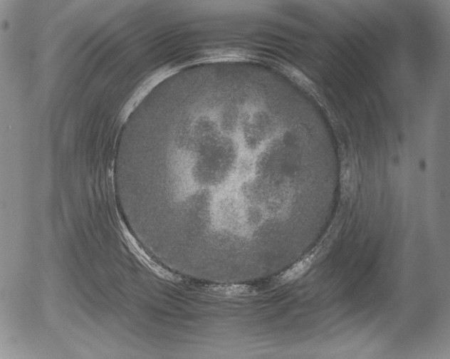 X0000054371417200508011208