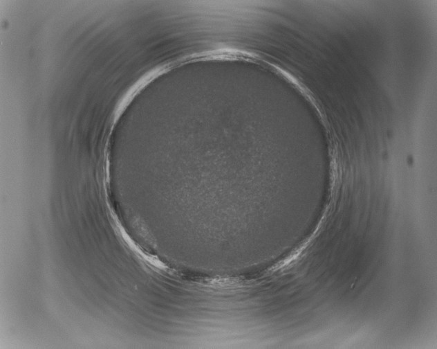 X0000054371418200508011208