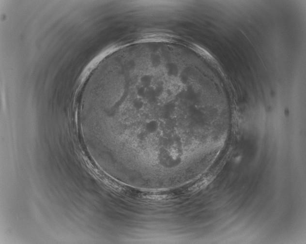 X0000054371419200508011208