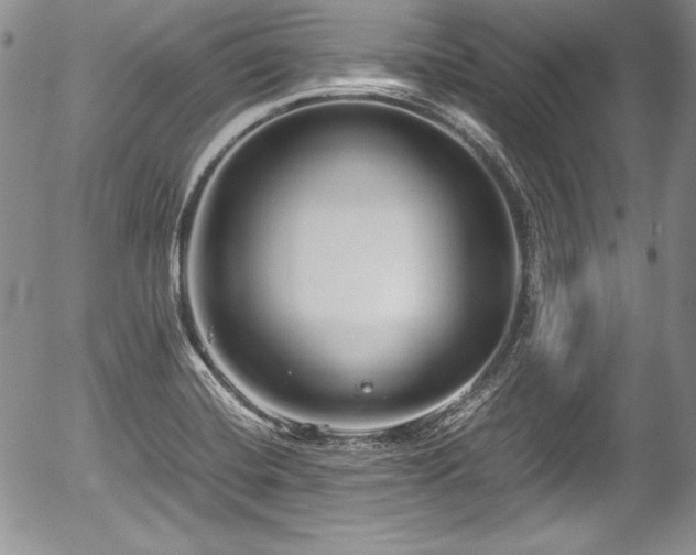 X0000054371420200508011208