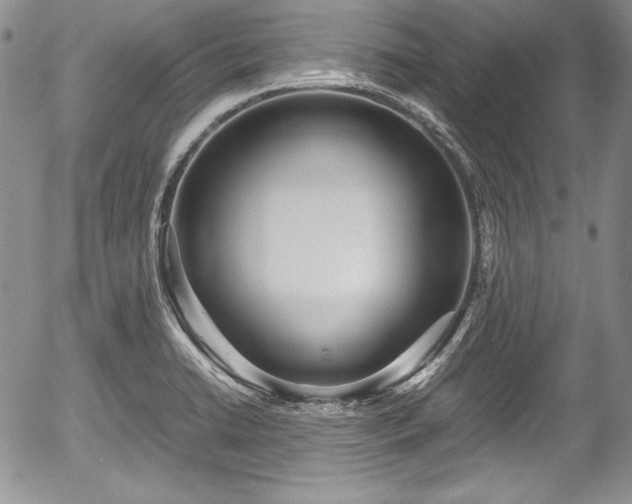 X0000054371422200508011208