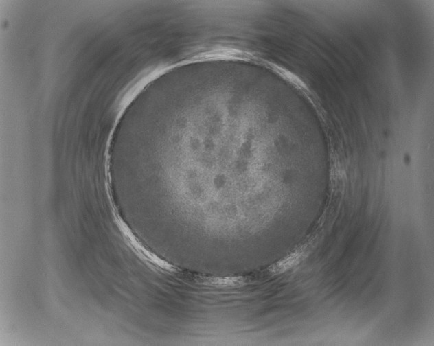 X0000054371423200508011208