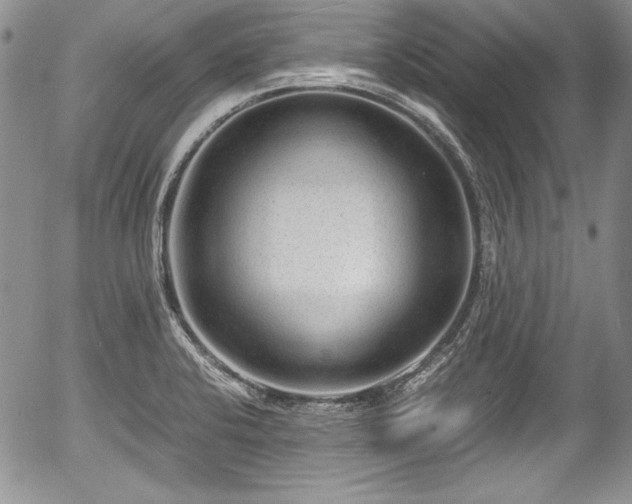 X0000054371424200508011208