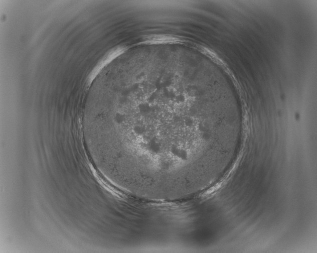 X0000054371425200508011208