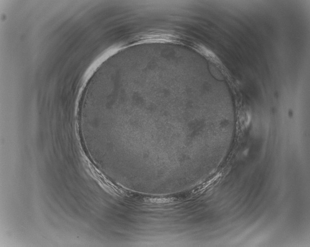 X0000054371427200508011209