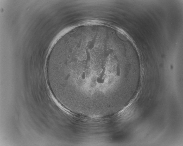 X0000054371429200508011209