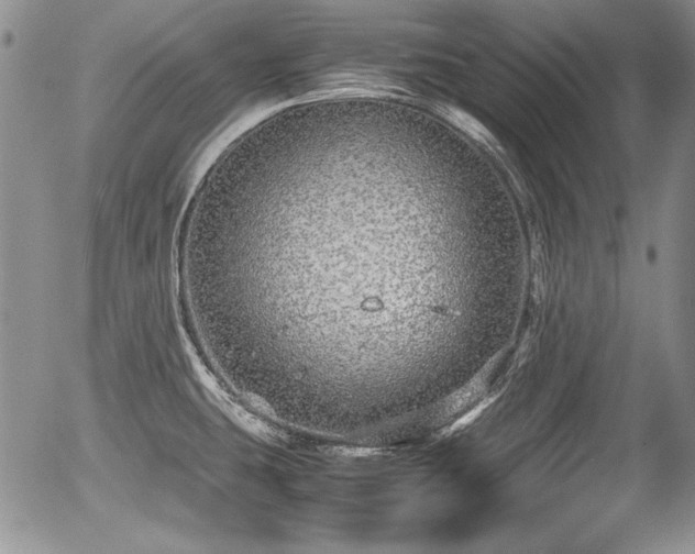 X0000054371431200508011209