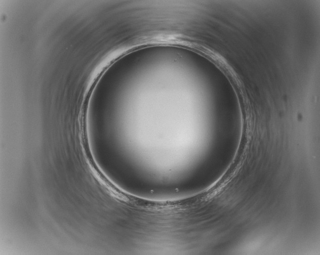 X0000054371432200508011209