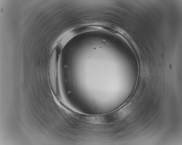 X0000054371433200508011209