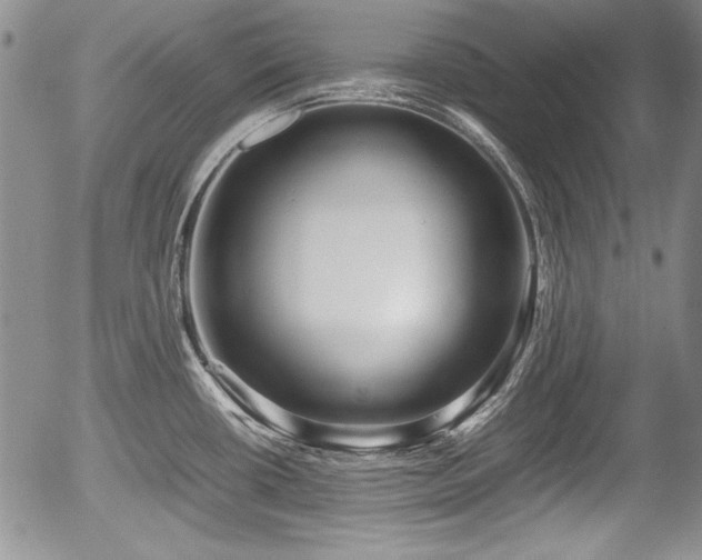 X0000054371434200508011209