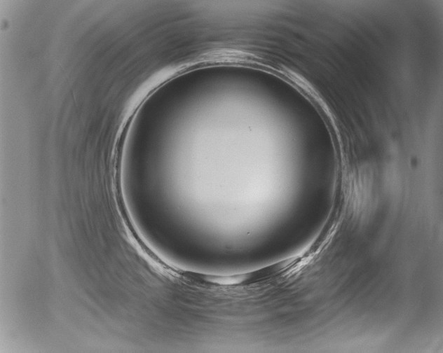 X0000054371437200508011209