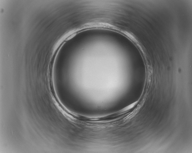 X0000054371438200508011209