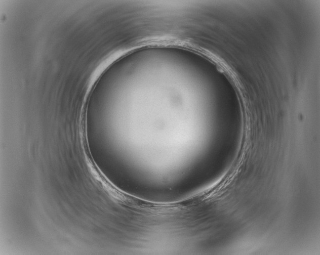 X0000054371440200508011209