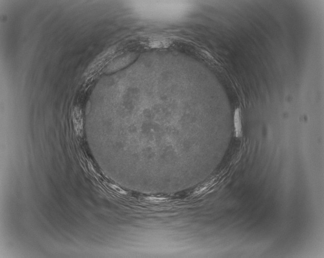 X0000054371443200508011208