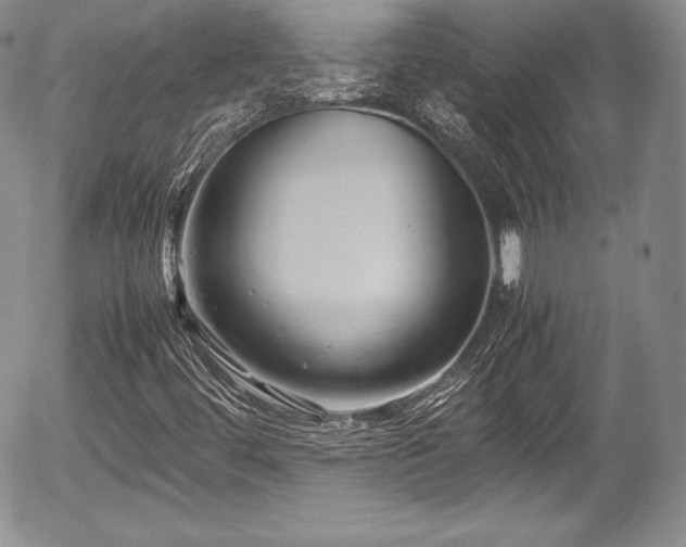 X0000054371444200508011208